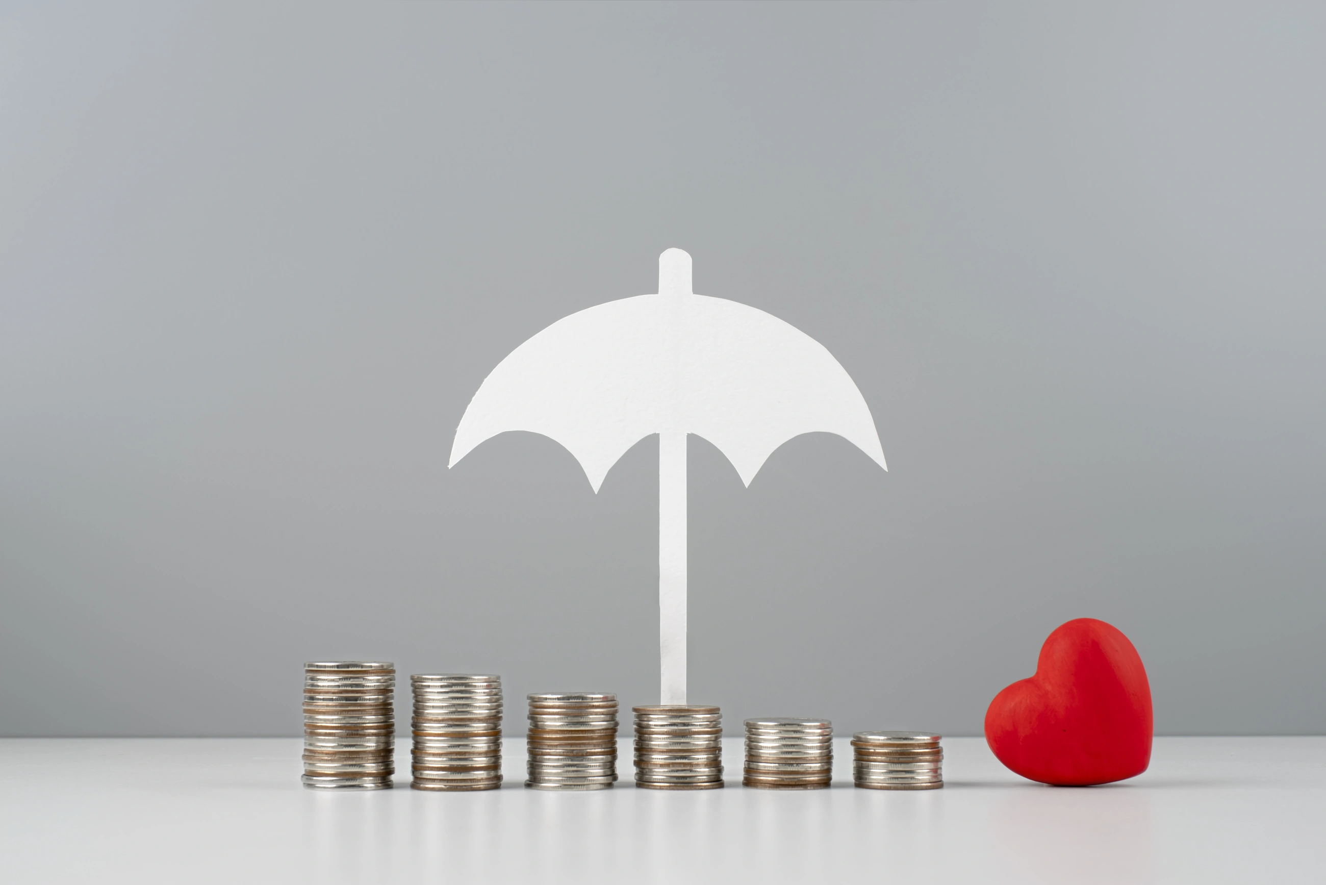 Assurance & Risk Protection